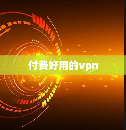 付费好用的vpn