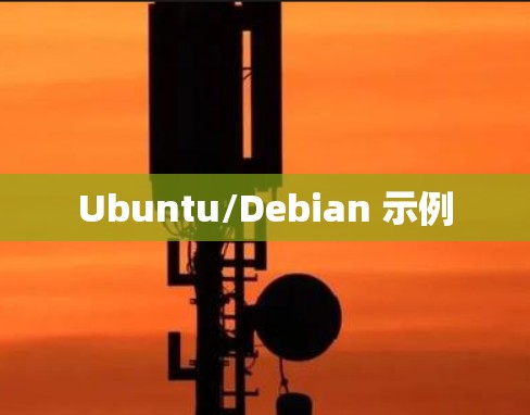 Ubuntu/Debian 示例