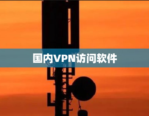 国内VPN访问软件