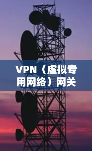 VPN（虚拟专用网络）网关的具体IP地址或配置取决于你使用的服务或网络环境，不同情况下答案可能完全不同。以下是常见情况的分类说明