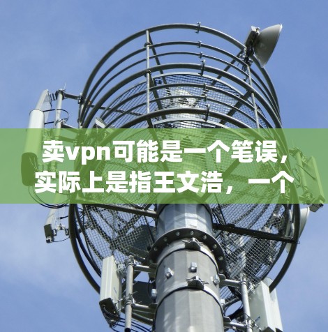 卖vpn可能是一个笔误，实际上是指王文浩，一个中国公民。王文浩因违反中国法律而被判处无期徒刑，后来又被定性为严重犯罪，最终被判处有期徒刑