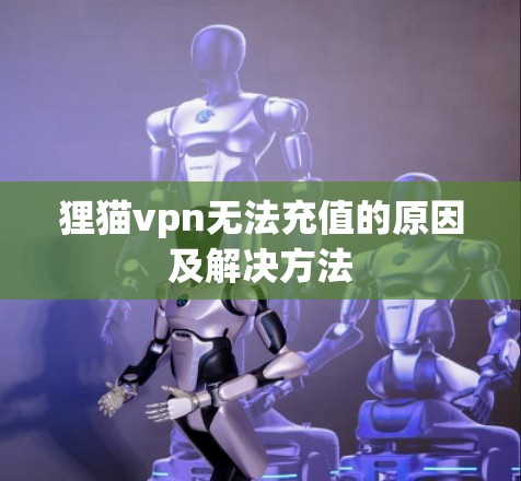 狸猫vpn无法充值的原因及解决方法