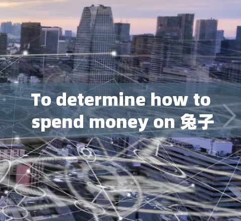 To determine how to spend money on 兔子vpn,follow this organized approach: