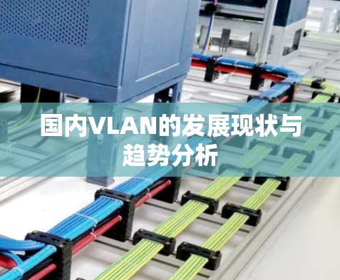 国内VLAN的发展现状与趋势分析