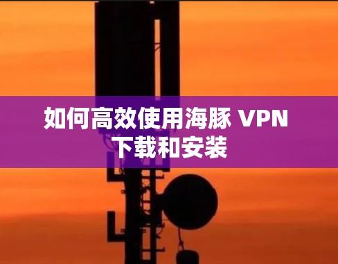 如何高效使用海豚 VPN 下载和安装