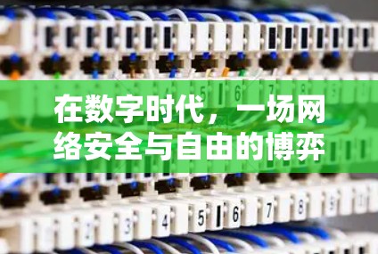 在数字时代，一场网络安全与自由的博弈，免费挂外网VPN的未来发展