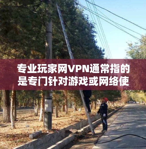 专业玩家网VPN通常指的是专门针对游戏或网络使用的服务，旨在提供安全、可靠和便捷的VPN选项。以下是关于专业玩家网VPN的详细介绍和推荐