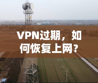 VPN过期，如何恢复上网？你的选择可能涉及法律和安全问题