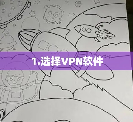 1.选择VPN软件