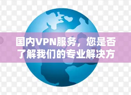 国内VPN服务，您是否了解我们的专业解决方案？
