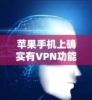 苹果手机上确实有VPN功能，可以用来访问外部网络，但需要具体操作方法。以下是使用苹果设备访问外部网络的步骤之一
