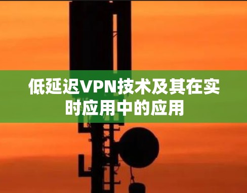 低延迟VPN技术及其在实时应用中的应用