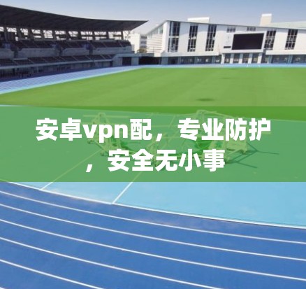 安卓vpn配，专业防护，安全无小事