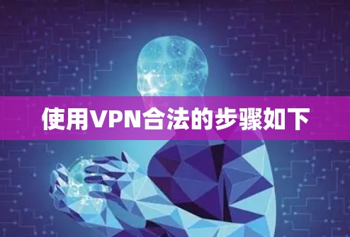使用VPN合法的步骤如下