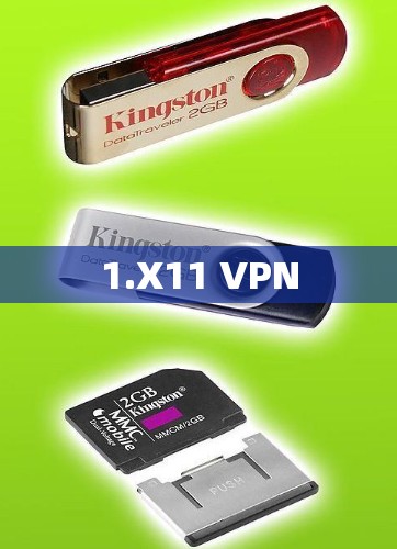 1.X11 VPN