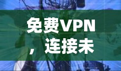 免费VPN，连接未来的技术