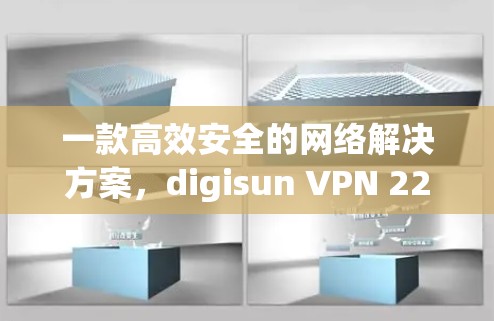 一款高效安全的网络解决方案，digisun VPN 223