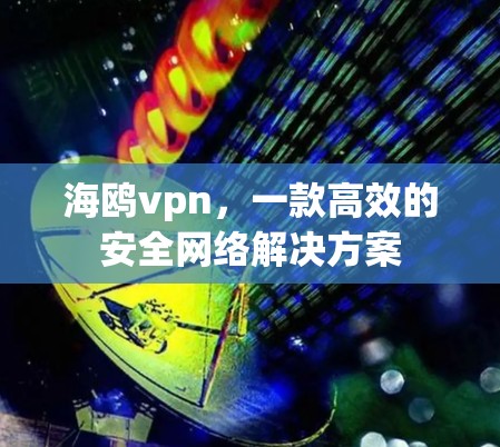 海鸥vpn，一款高效的安全网络解决方案