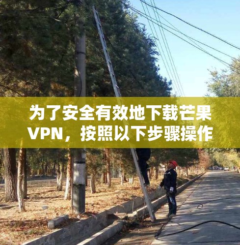 为了安全有效地下载芒果VPN，按照以下步骤操作
