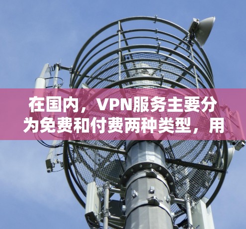 在国内，VPN服务主要分为免费和付费两种类型，用户可以根据自己的需求和预算选择适合的解决方案