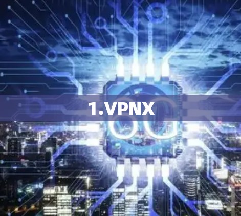 1.VPNX