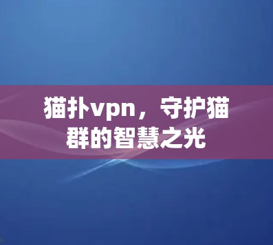 猫扑vpn，守护猫群的智慧之光