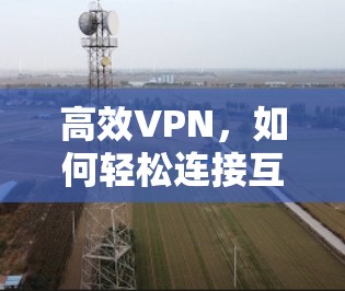 高效VPN，如何轻松连接互联网，轻松访问网站