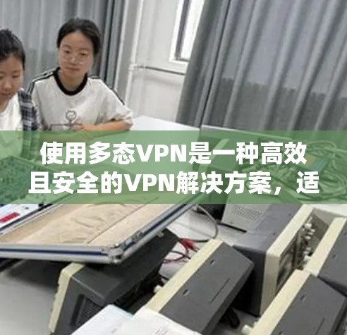 使用多态VPN是一种高效且安全的VPN解决方案，适合需要同时访问多个网站或长时间在线的用户。以下是详细的使用步骤指南