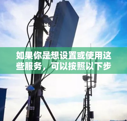 如果你是想设置或使用这些服务，可以按照以下步骤操作