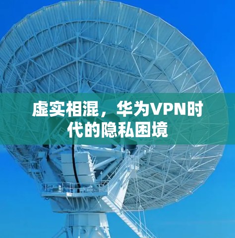 虚实相混，华为VPN时代的隐私困境