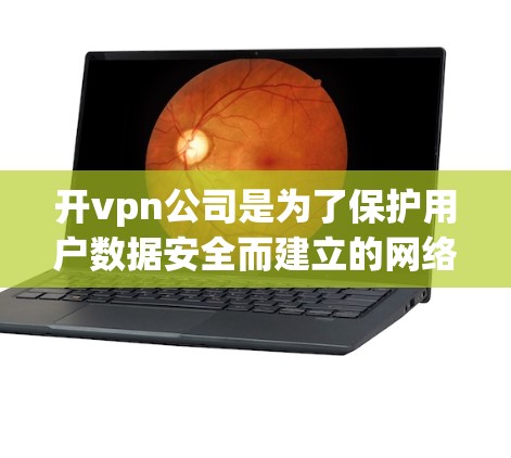 开vpn公司是为了保护用户数据安全而建立的网络服务提供商。以下是开vpn公司的核心要素