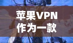 苹果VPN作为一款功能强大的 VPN 应用，近年来在功能和价格上有一定的变化，以下是一些关键点和建议