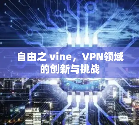 自由之 vine,VPN领域的创新与挑战 自由之 vine,VPN领域的创新与挑战
