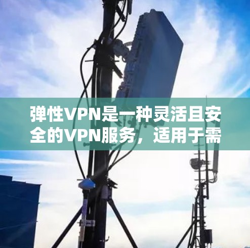 弹性VPN是一种灵活且安全的VPN服务，适用于需要在任何时间访问网络的场景。以下是对弹性VPN的详细分析和总结