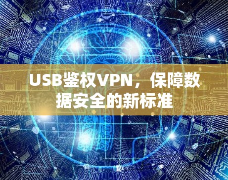 USB鉴权VPN，保障数据安全的新标准