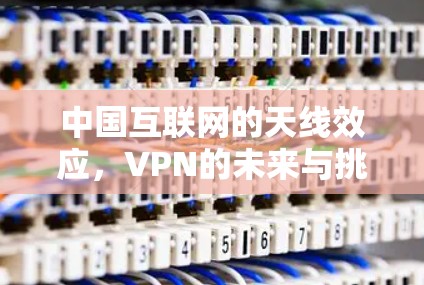 中国互联网的天线效应，VPN的未来与挑战