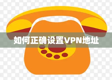 如何正确设置VPN地址