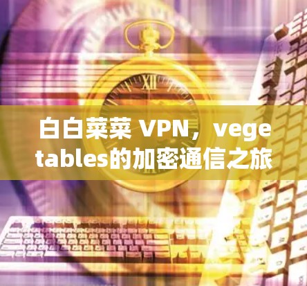 白白菜菜 VPN，vegetables的加密通信之旅