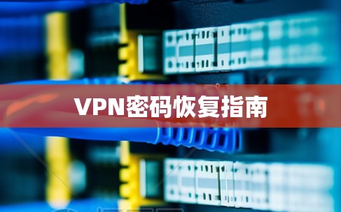 VPN密码恢复指南