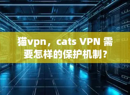 猫vpn，cats VPN 需要怎样的保护机制？