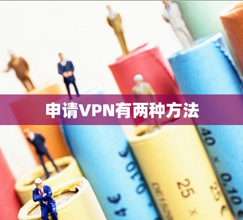 申请VPN有两种方法