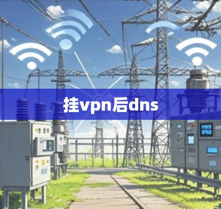 挂vpn后dns