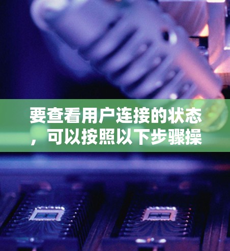 要查看用户连接的状态，可以按照以下步骤操作