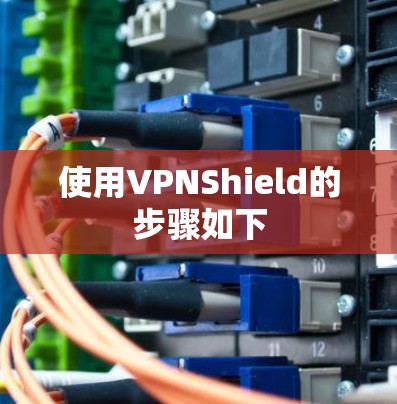 使用VPNShield的步骤如下