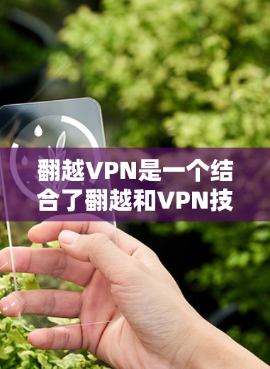 翻越VPN是一个结合了翻越和VPN技术的概念，旨在通过加密手段在小米手机上进行数据传输和保护。以下是对该概念的详细分析和建议