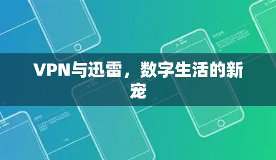 VPN与迅雷，数字生活的新宠