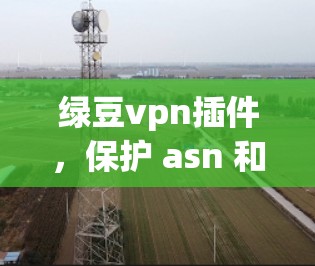 绿豆vpn插件，保护 asn 和 SDN 网络的安全与隐私