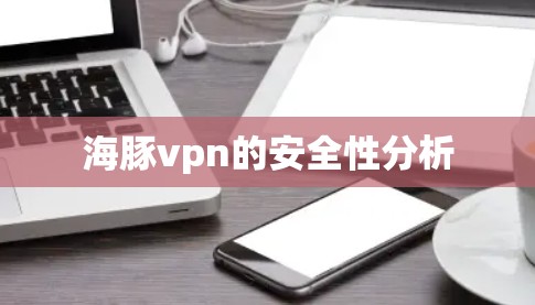 海豚vpn的安全性分析