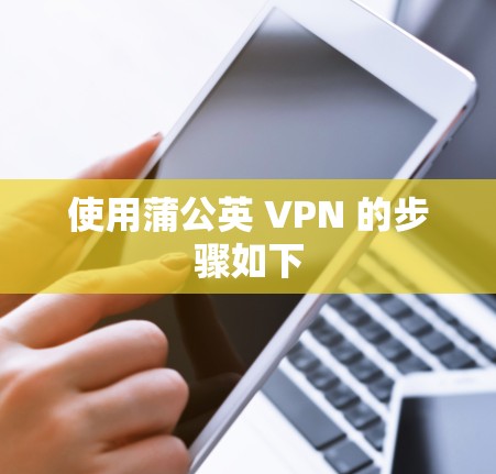 使用蒲公英 VPN 的步骤如下