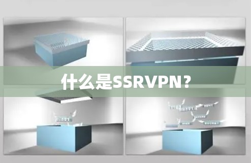 什么是SSRVPN？